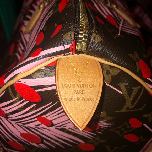 ❤️LV Jungle speedy 30 MAKEUP BAG SOLD ❌ - Picture 4 of 8